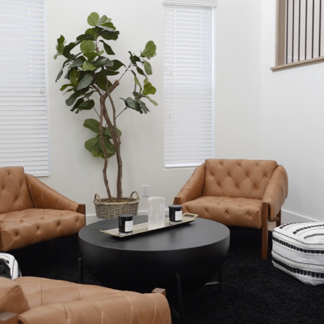 interior photo of Detox LA Facility showing healthy living room